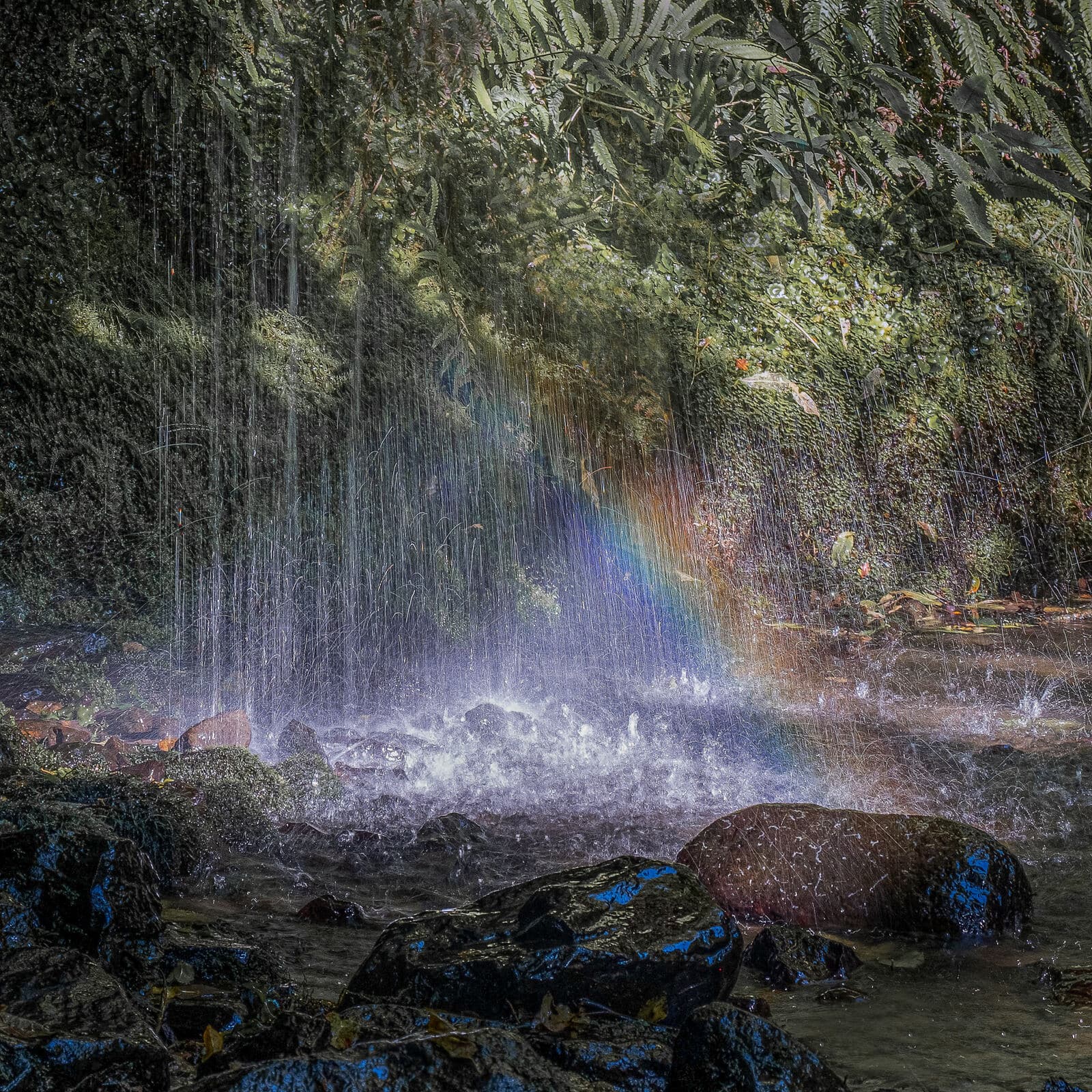 A rainbow forming in the spray of a woodland waterfall — a favourite photo in the Blume Psychology clinic
